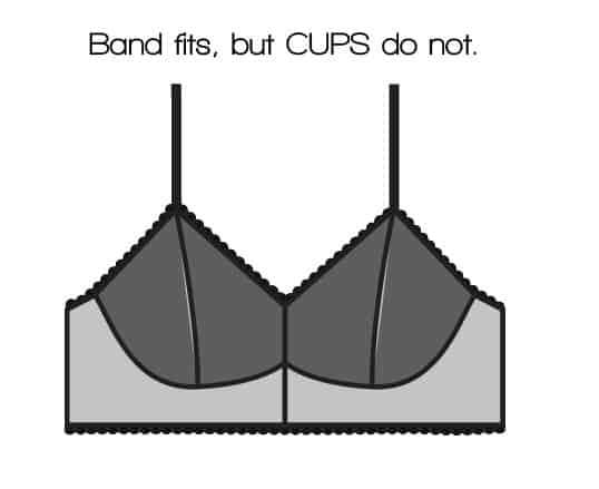 Bra Fitting 101: Band Sizes, Cup Sizes, and Sister Sizing